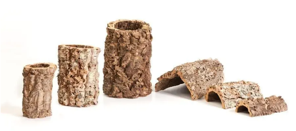 Cork: An Ancient Material Reimagined in Modern Footwear Design