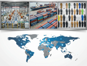 Huadong Soles品牌展示无文字.png