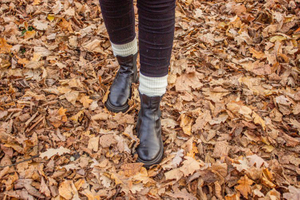 autumn.jpg